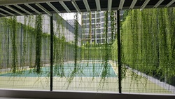 Coco Palms (D18), Condominium #220872841